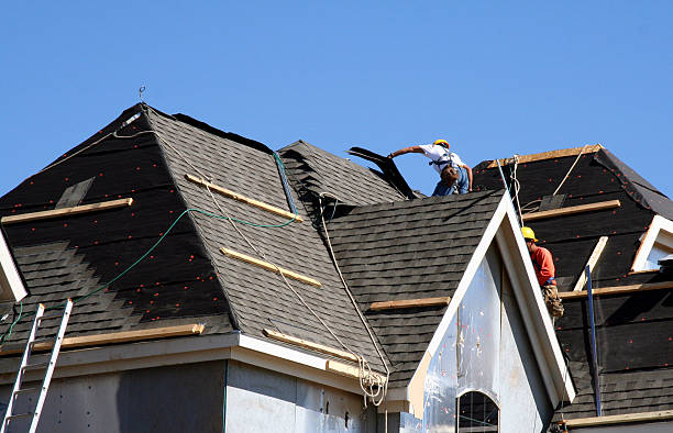 Best Roof Gutter Cleaning  in Creston, IA